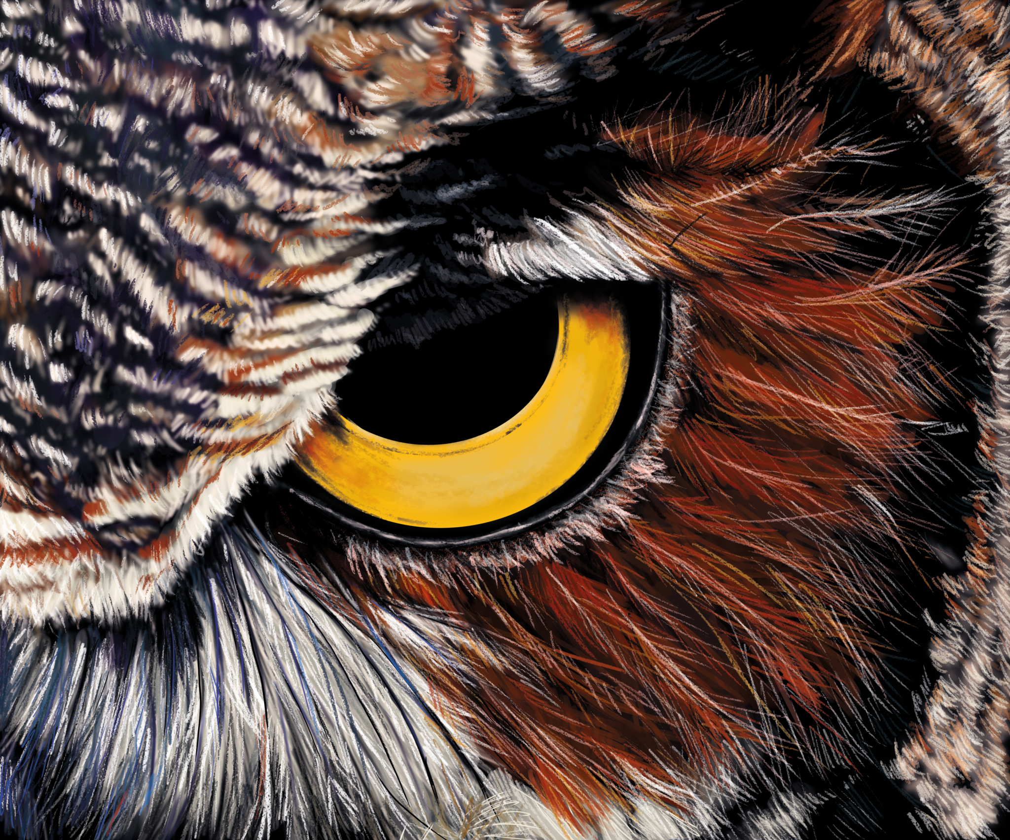 Owl Eye digital painting