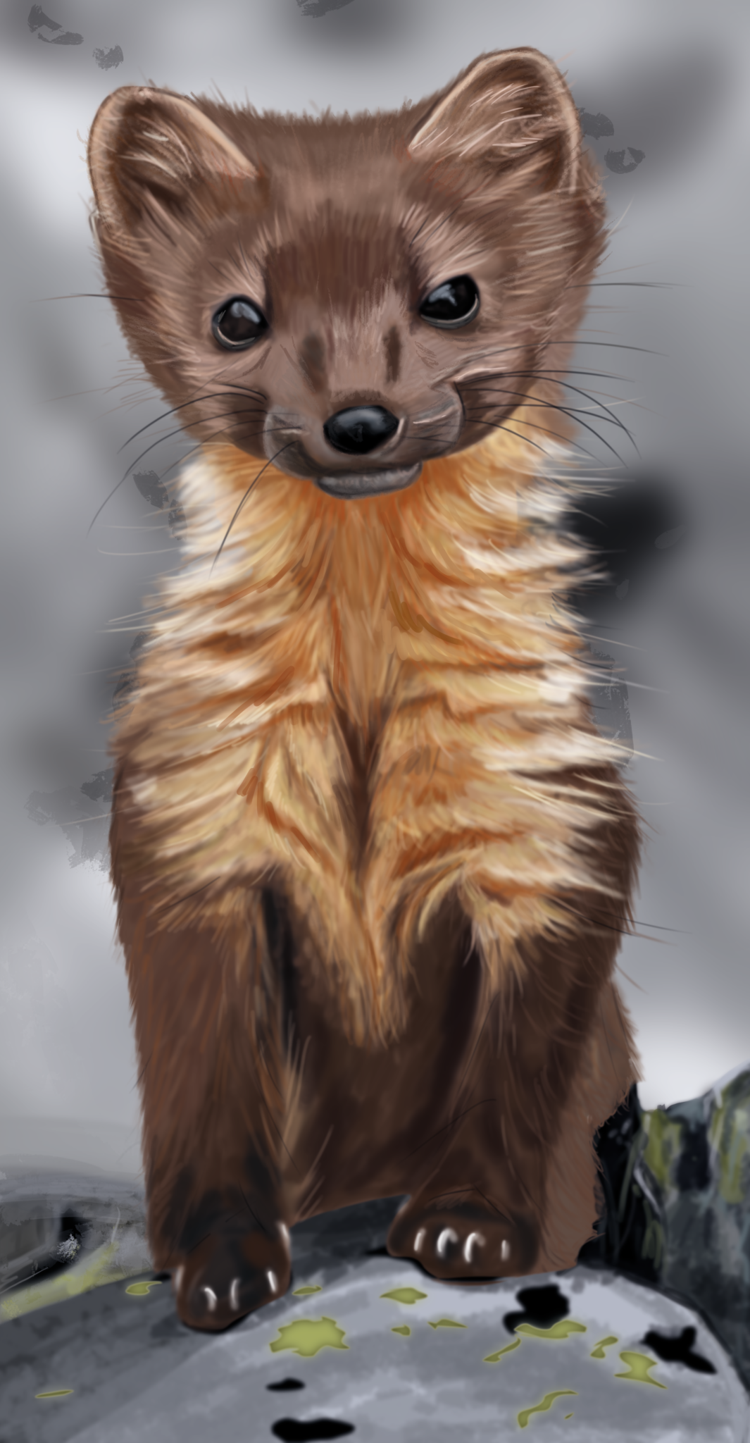 Baby Pine Marten photoshop painting