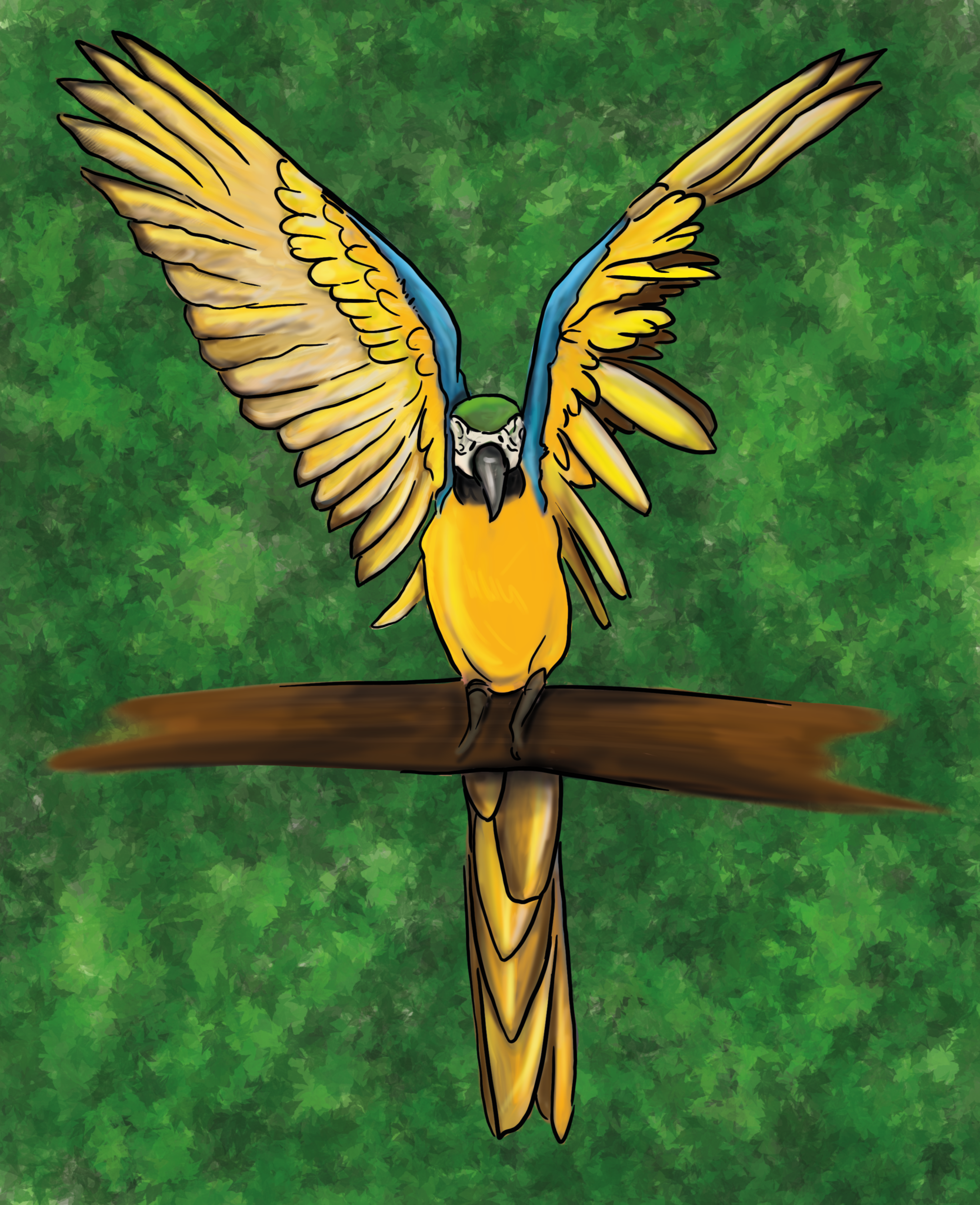 Parrot digital painting