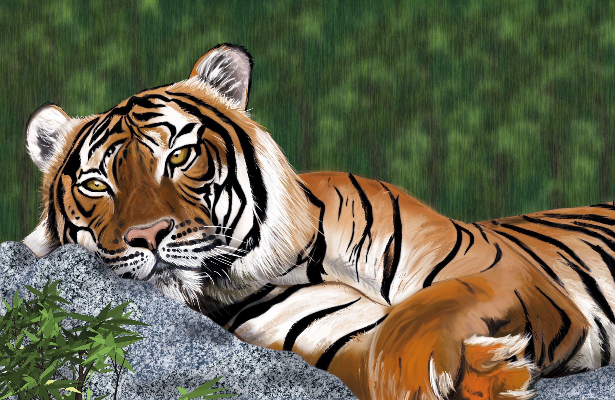 Malaysian Tiger digital painting