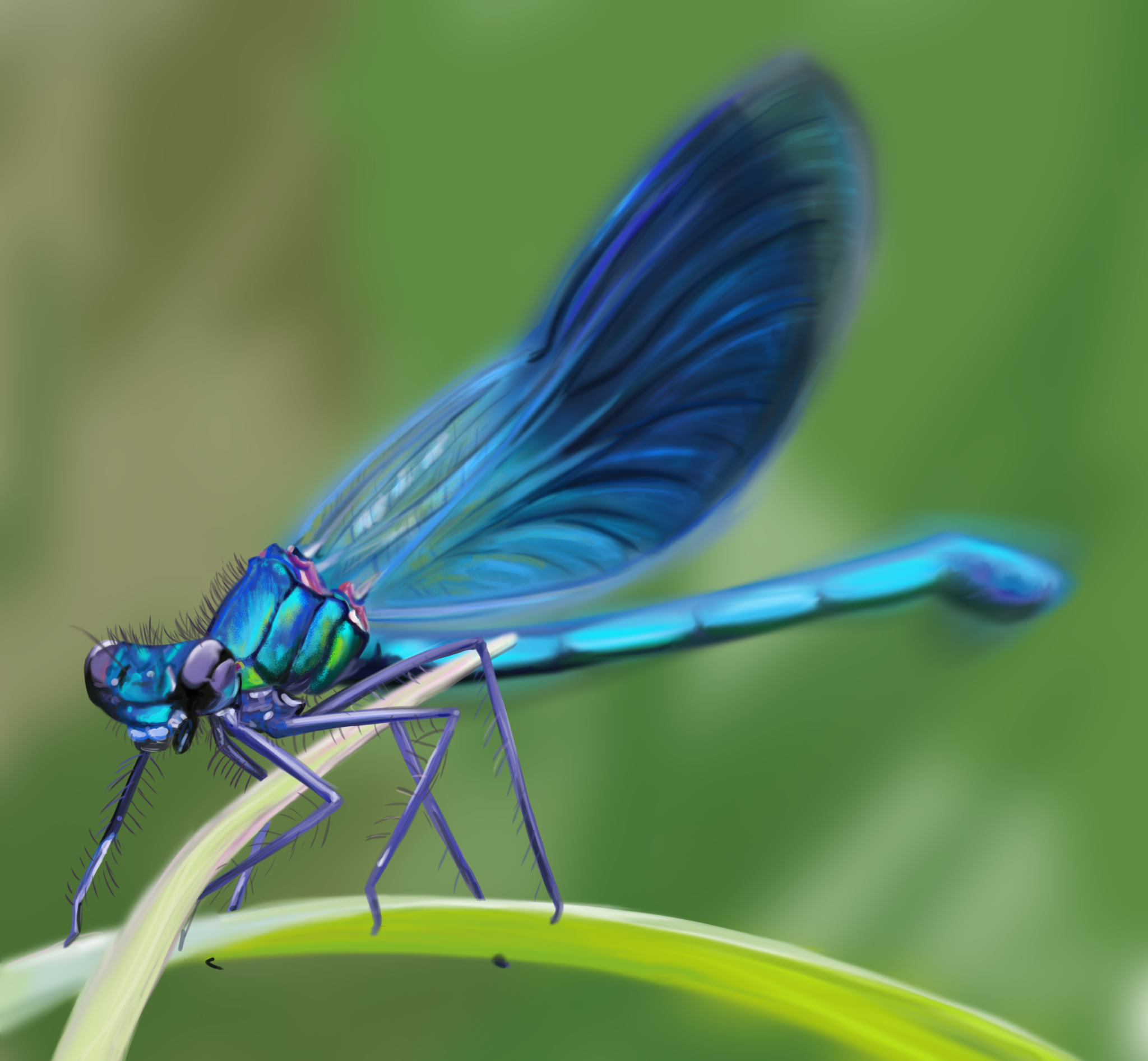 Blue Dragonfly digital painting