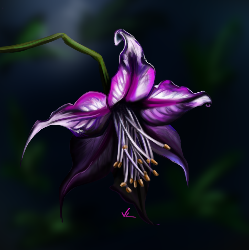 A purple nightshade flower. Digital art